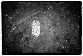 geflickter Tanzboden 5