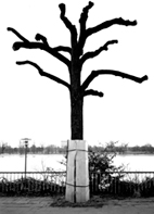 Rheinpromenade - Beispiel 2